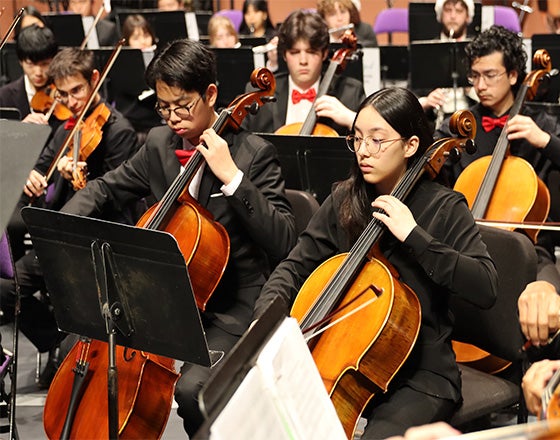 More Info for Winter Concerto Concert