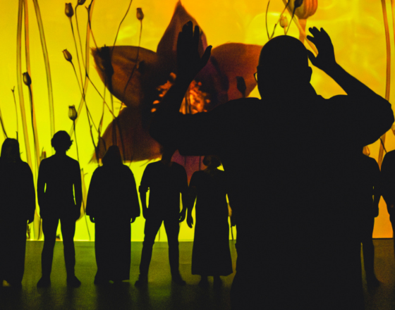 More Info for The Crossing