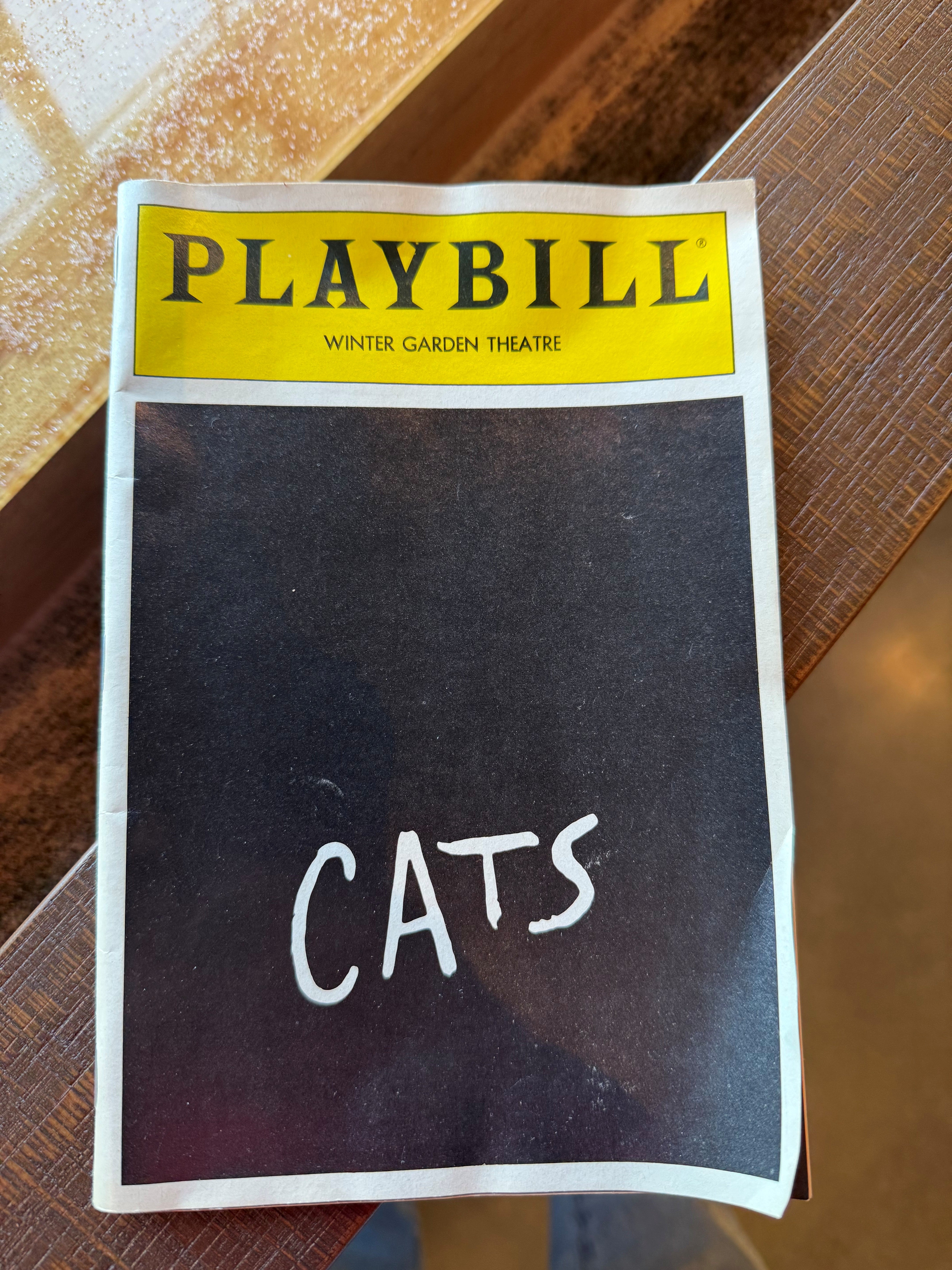 Erin Hicks Cats Playbill 1988.jpg
