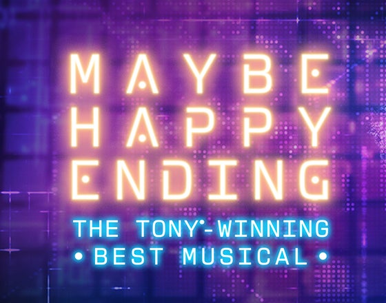 More Info for Maybe Happy Ending