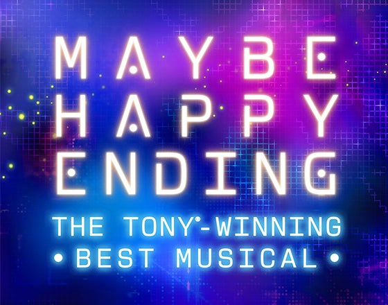 More Info for Maybe Happy Ending