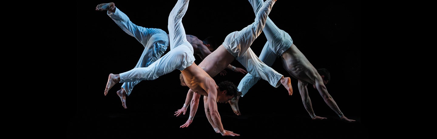 Pilobolus: Trips