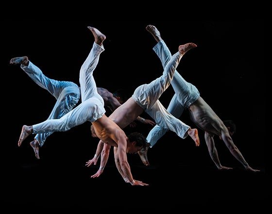 More Info for Pilobolus: Trips
