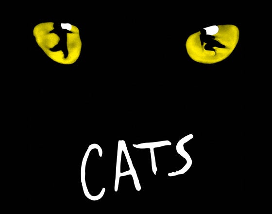 More Info for Cats